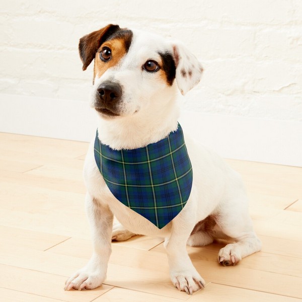 Johnston tartan pet bandana