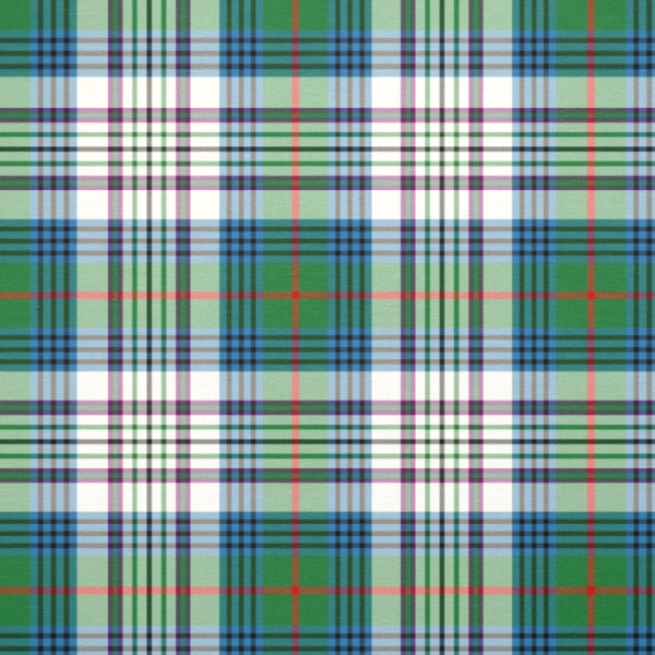 Kennedy Dress tartan fabric