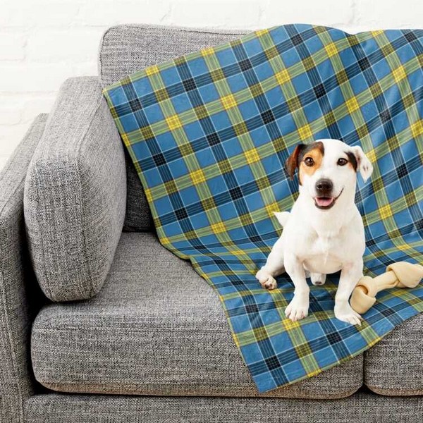 Clan Laing Tartan Pet Blanket