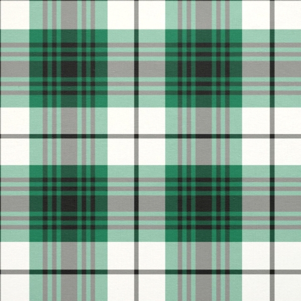 Lamont Dress tartan fabric