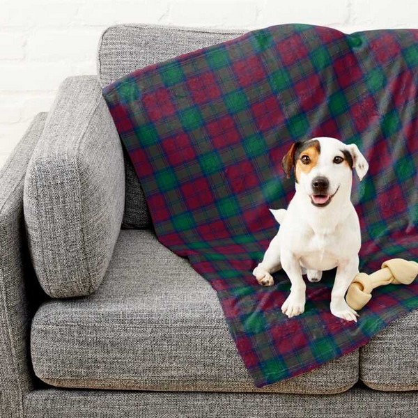 Lindsay tartan pet blanket