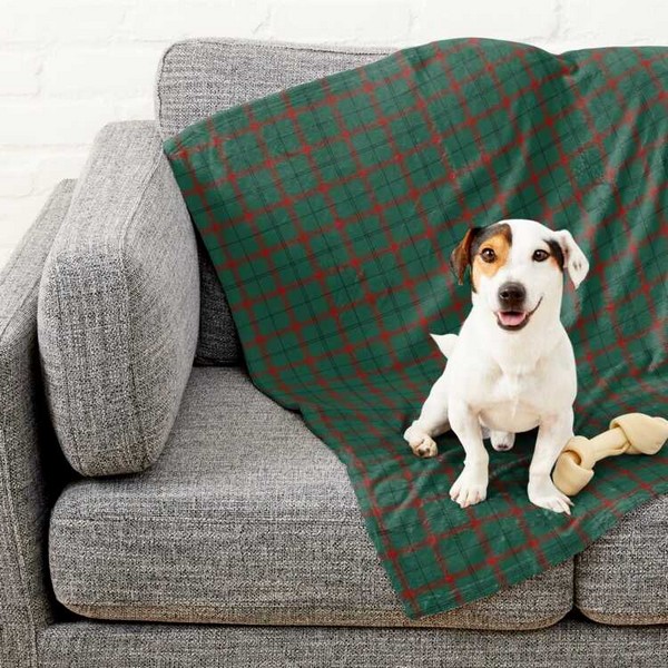 Loch Laggan District tartan pet blanket