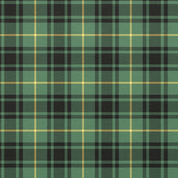 Clan MacArthur Tartan Fabric