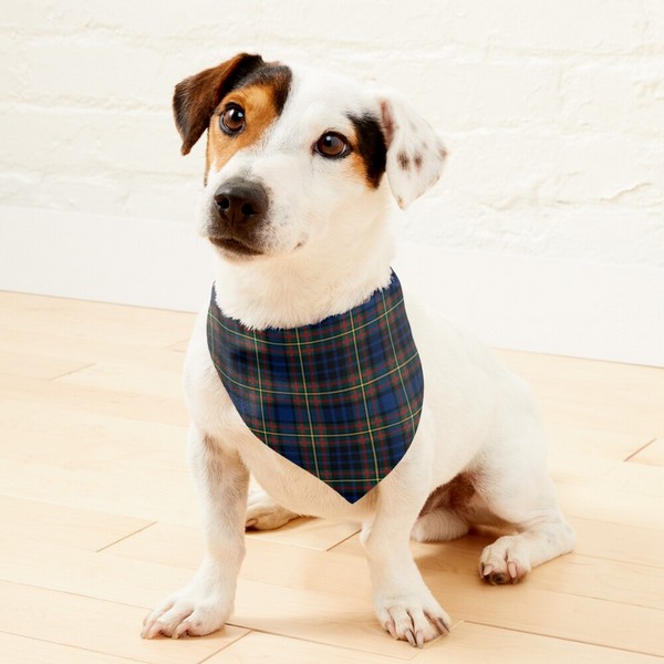 Clan MacClellan Tartan Pet Bandana