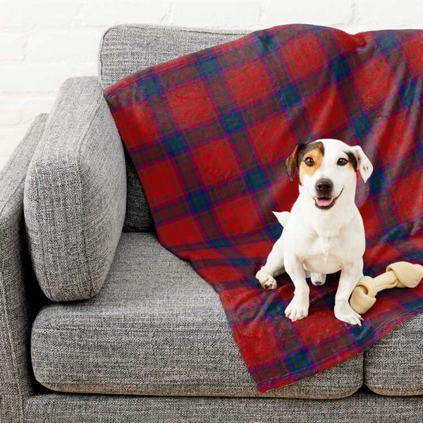 Clan MacDougall Tartan Pet Blanket