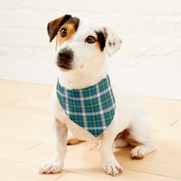 MacDowall tartan pet bandana