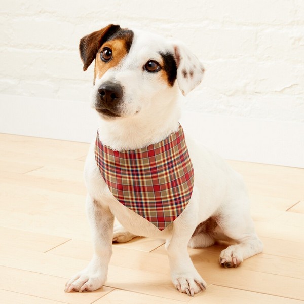 MacGlashan tartan pet bandana