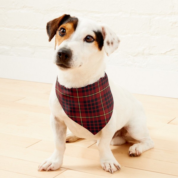 MacIan tartan pet bandana