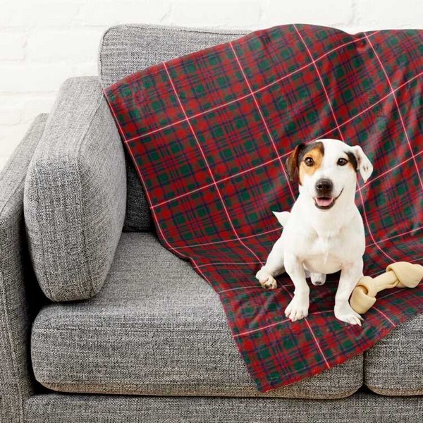 MacKinnon tartan pet blanket