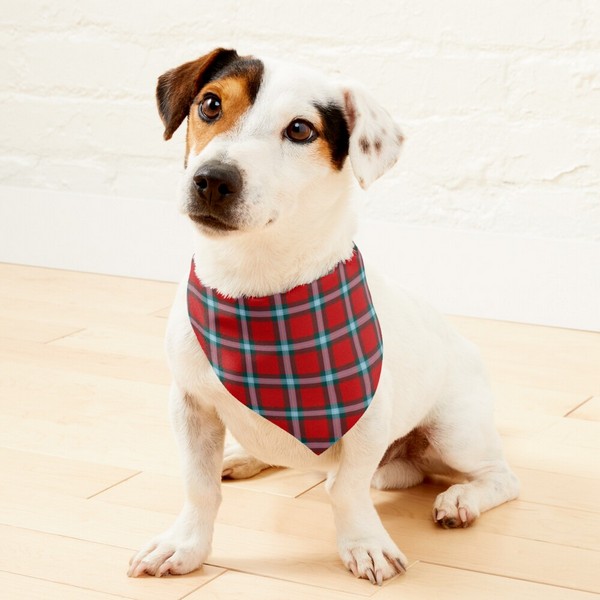 MacLaine tartan pet bandana