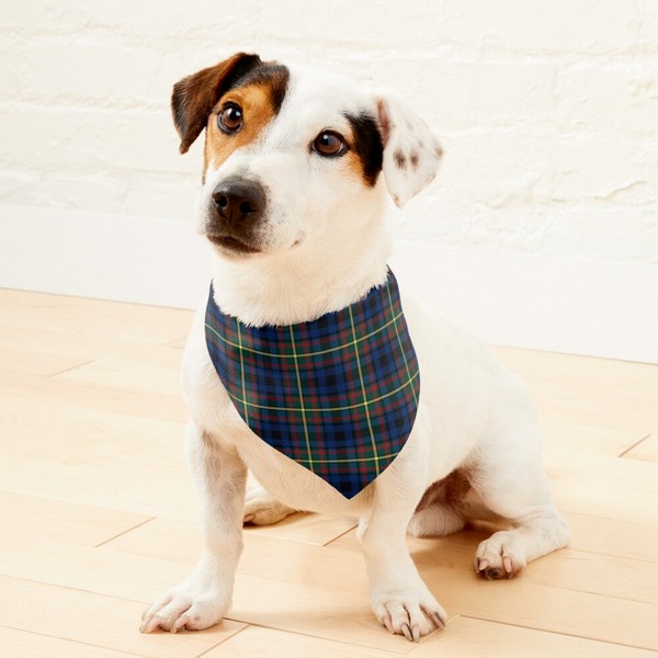 MacLeish tartan pet bandana