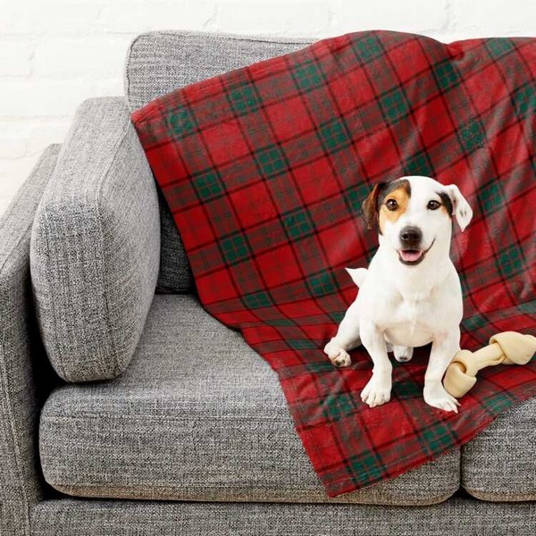 Maxwell tartan pet blanket