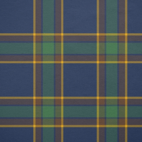 McGovern tartan fabric