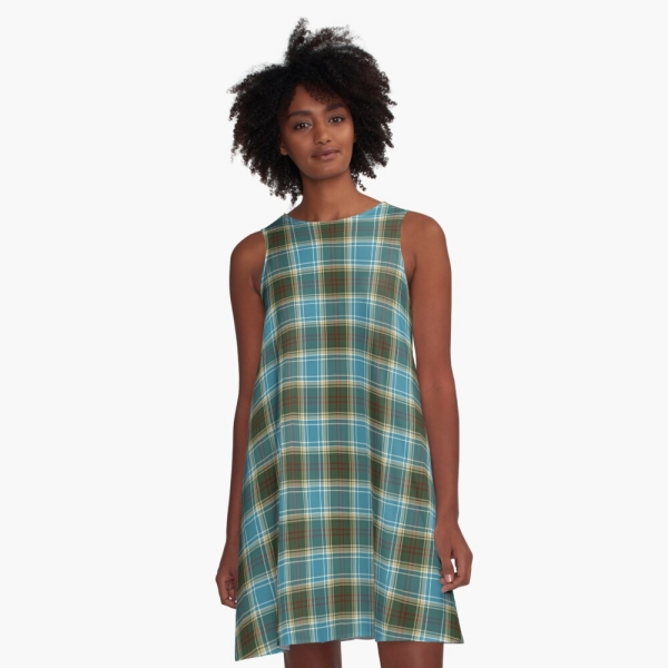 Michigan tartan a-line dress