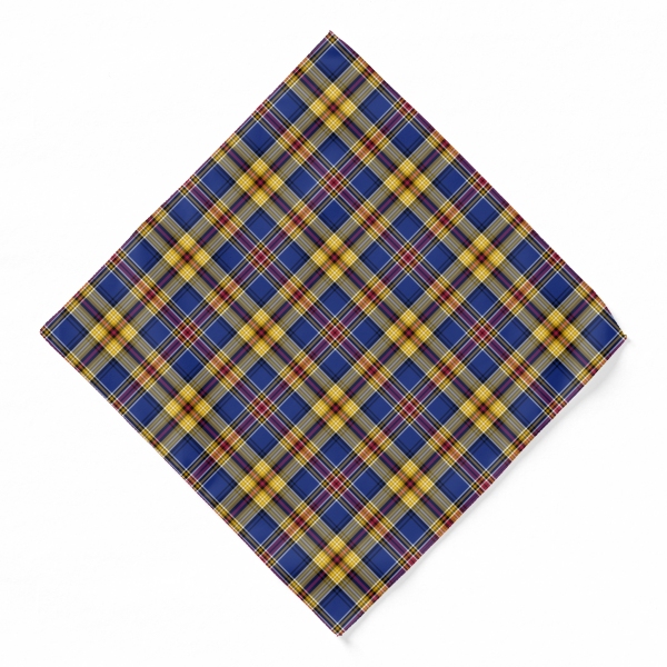 Murtagh tartan bandana