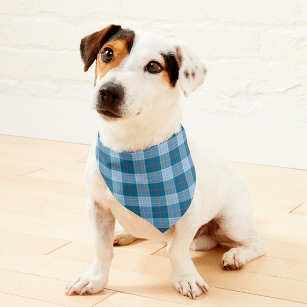 Musselburgh District tartan pet bandana