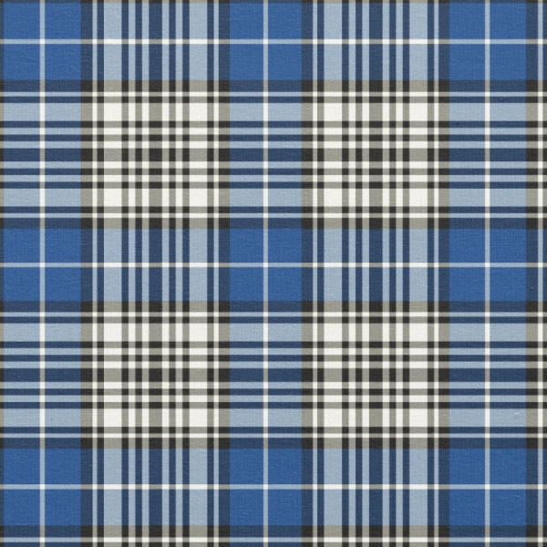 Clan Napier Tartan Fabric