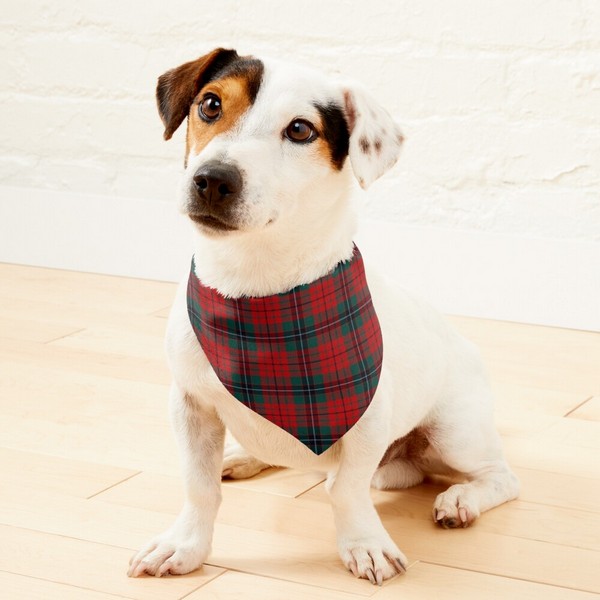 Clan Nicolson Tartan Pet Bandana