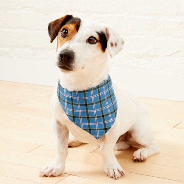 Oklahoma Tartan Pet Bandana