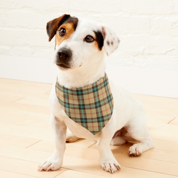 Saskatchewan tartan pet bandana