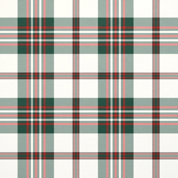Clan Scott Dress Tartan Fabric