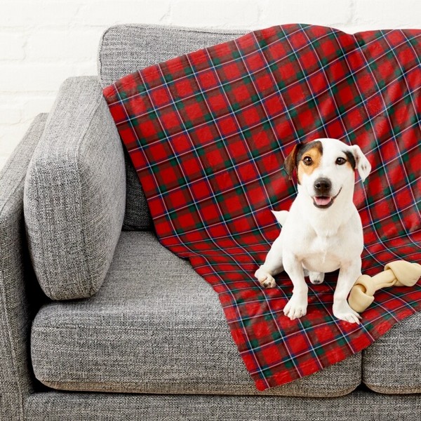 Sinclair tartan pet blanket