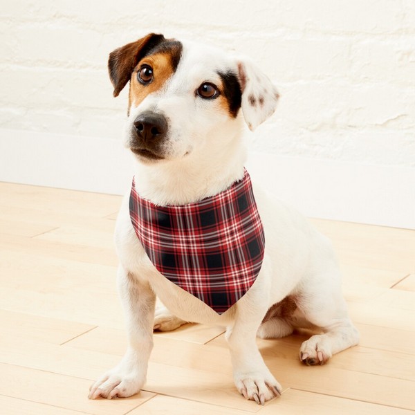 Tweedside tartan pet bandana