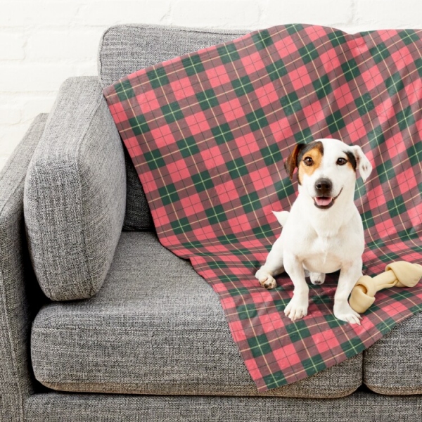 Wallace Weathered tartan pet blanket