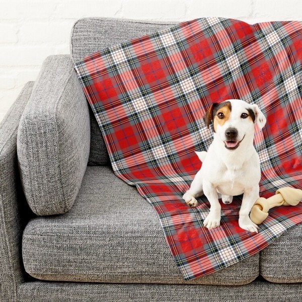 Clan Warden tartan pet blanket