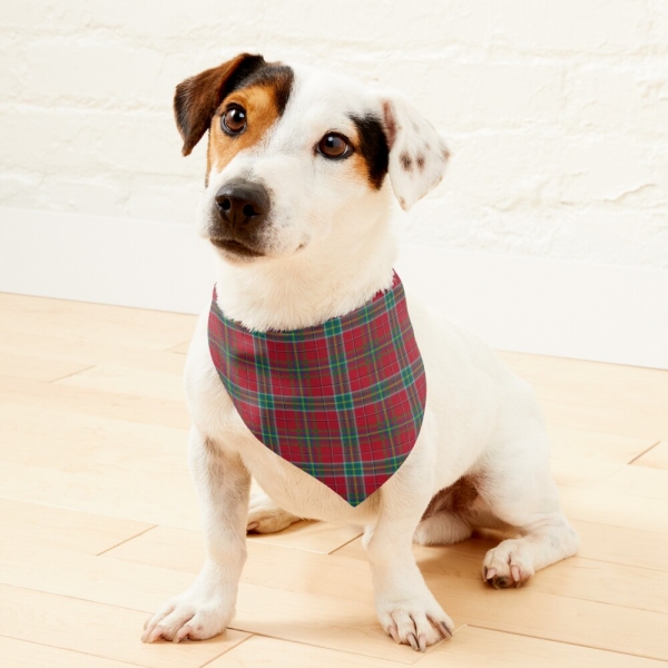 West Virginia Tartan Pet Bandana