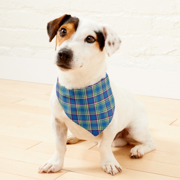 Yukon Territory tartan pet bandana