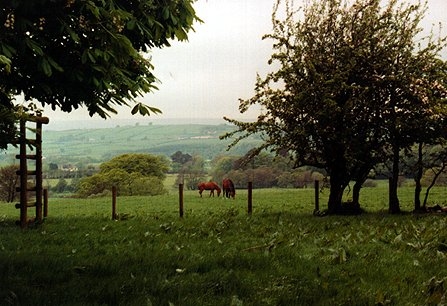 At Bessiestown, Cumbria, England by Robin Smith