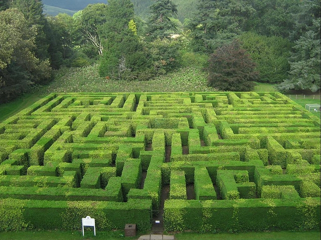 Traquair House Maze by marsroverdriver